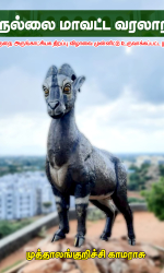 நெல்லை மாவட்ட வரலாறு